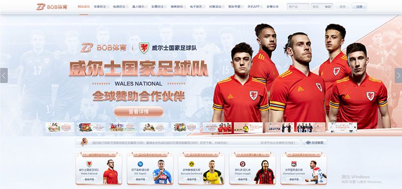 B金年会 - 德甲多特蒙德官方合作伙伴 2 B金年会简介